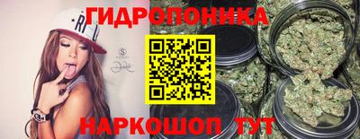 гидропоника Обь