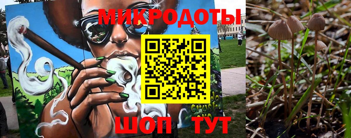 Галлюциногенные грибы прущие грибы Родники